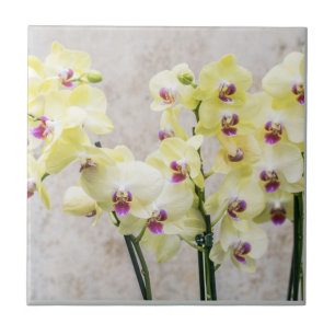 Elegant Romantic Cream & Lilac Orchids Tile