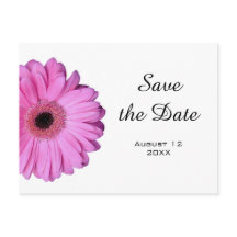 Elegant Romantic Pink Gerbera Daisy