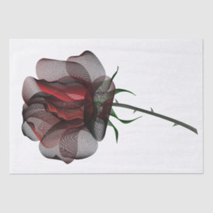 Elegant Rose Black Red White Floral Moiré Minimal Tissue Paper