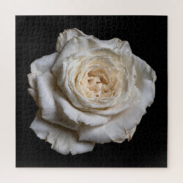 Elegant Rose Collection on Black Jigsaw Puzzle (Vertical)