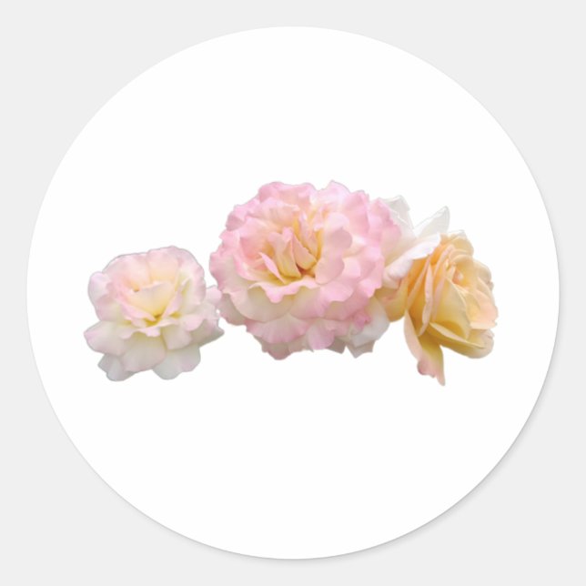 Elegant Rose Design Stickers (Front)