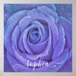 Elegant Rose Flower Photo Add Name Poster