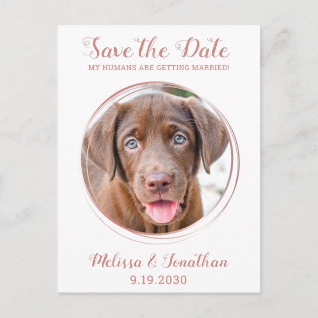 Elegant Rose Gold Custom Pet Photo Dog Wedding  Announcement Postcard (Front)
