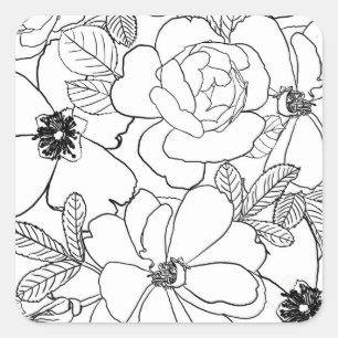 Elegant Roses Floral Line Drawing design Square Sticker