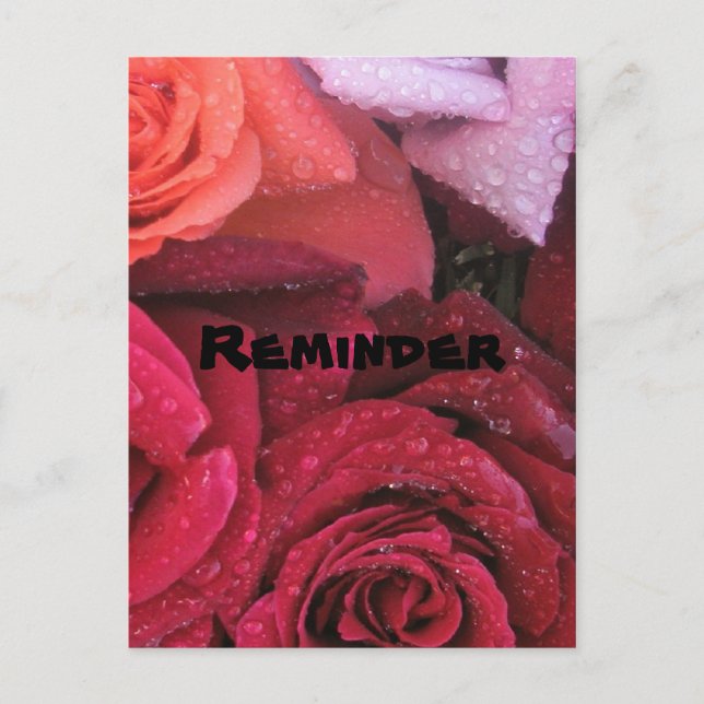 Elegant Roses Reminder Postcard (Front)
