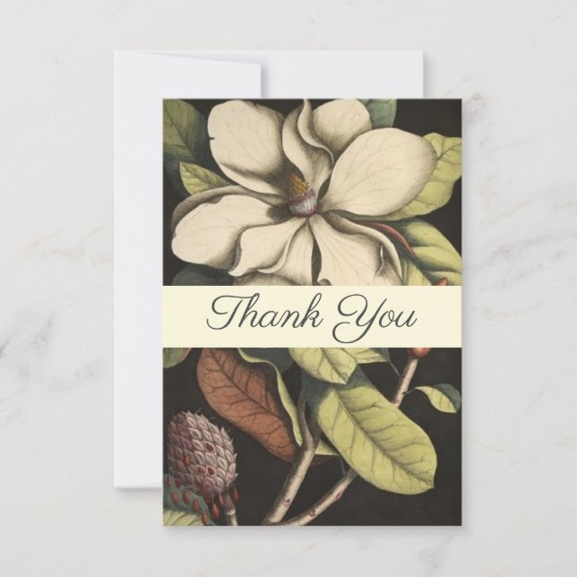 Elegant Sage Cream Magnolia Script Floral  Busines Thank You Card (Front)