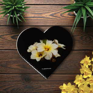 Elegant Satin Flowers Notebook