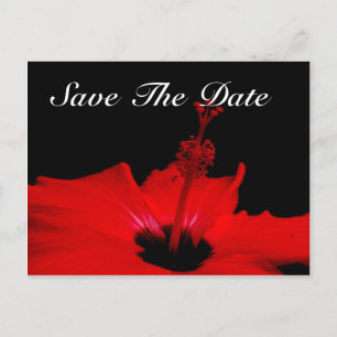Elegant Save the Date Post Card