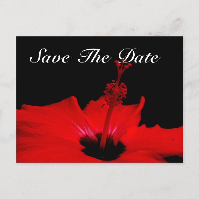 Elegant Save the Date Post Card (Front)