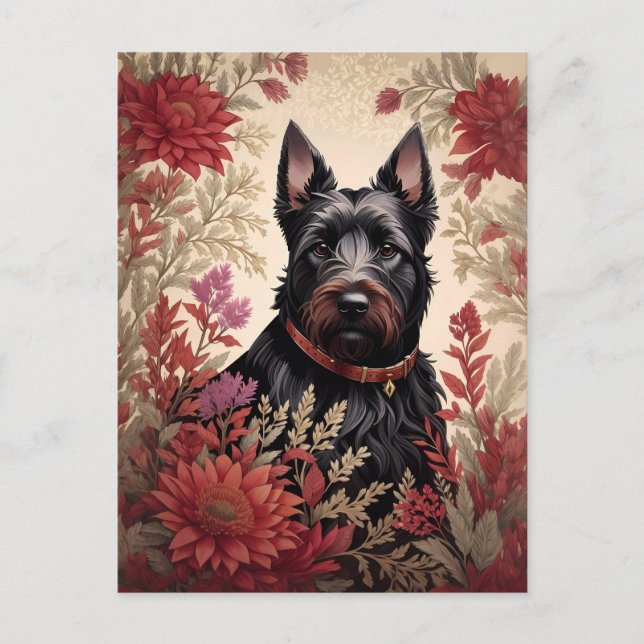 Elegant Scottish Terrier Dog Portrait  Postcard (Front)