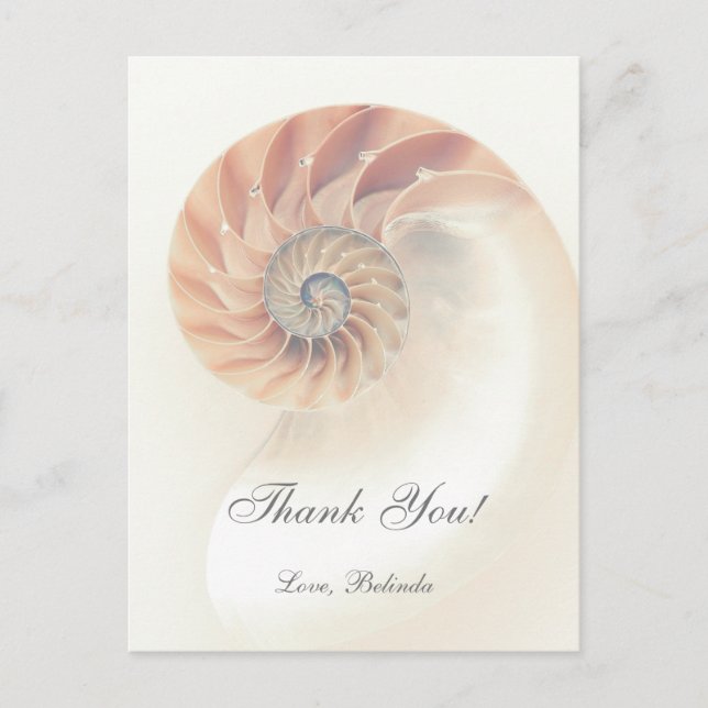Elegant Sea Shell Thank You Card (Front)