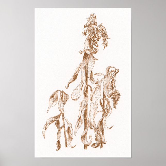 Elegant Seasonal Botanical Ink Art  Wall Poster (Front)