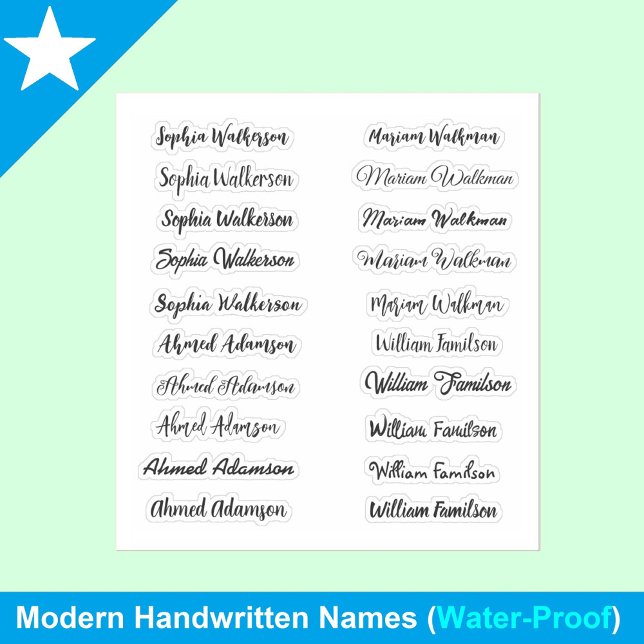(Elegant Set of 20) Handwritten Transparent Name (personalized Stylish Name Sticker labels)