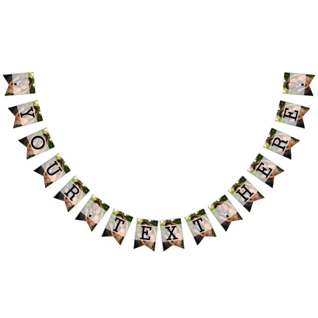 Elegant Sheer Overlay Photo Wedding Bunting (All)