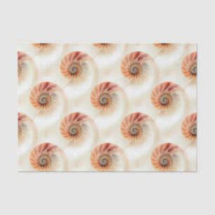 Elegant Shell Pattern Tissue Paper