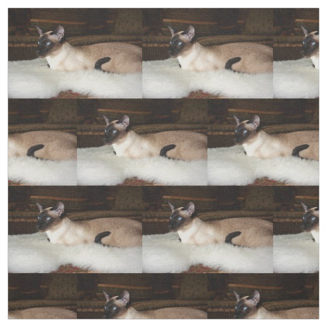 Elegant Siamese Cat Fabric (Swatch)
