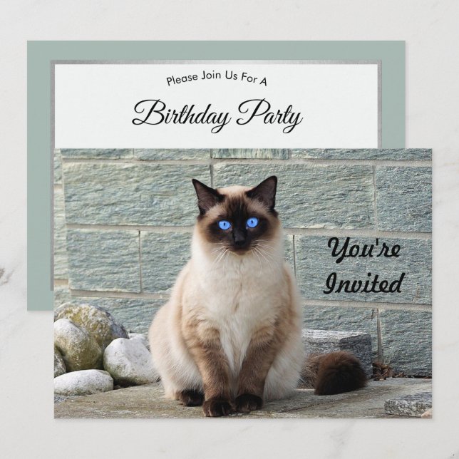 Elegant Siamese Cat Photo Birthday Invitation (Front/Back)