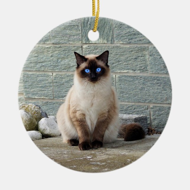 Elegant Siamese Cat Photo Ceramic Tree Decoration (Front)