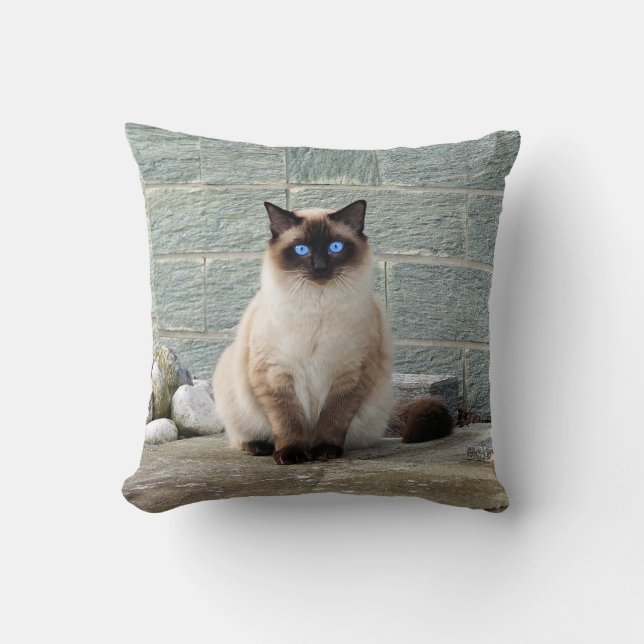 Elegant Siamese Cat Photo Cushion (Front)