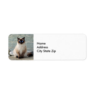 Elegant Siamese Cat Photo Label