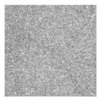 Elegant Silver Glitter