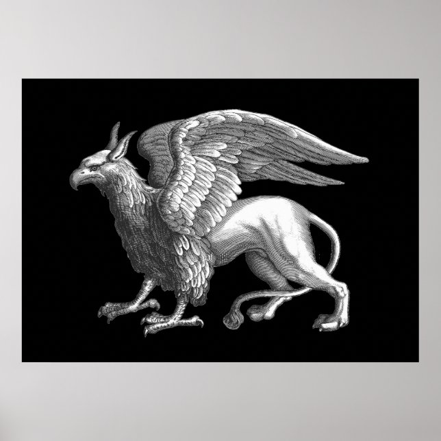 Elegant Silver Grey / Grey Griffin Legendary Beast Poster (Front)