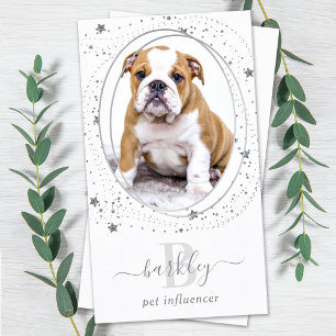 Elegant Silver Stars Photo Social Media Monogram  Business Card