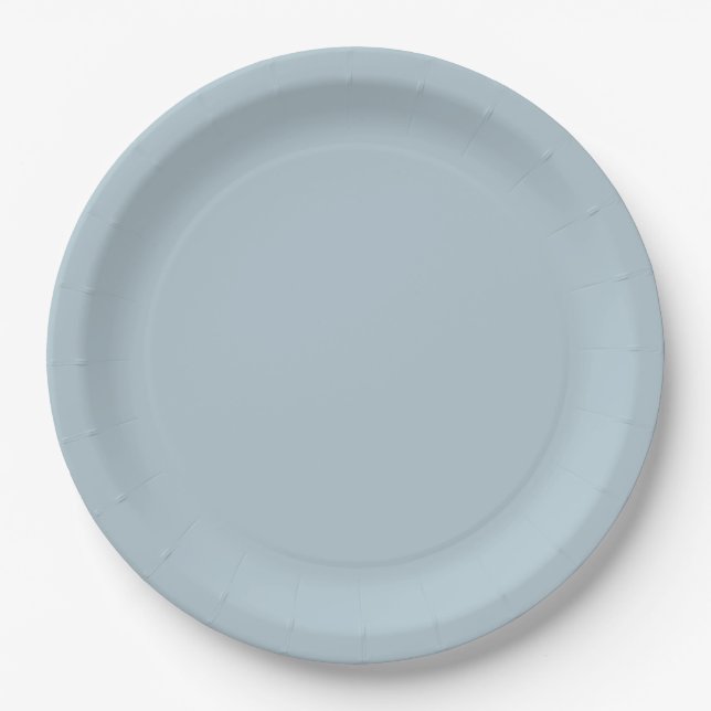 Elegant Simple Grey Wedding Party Paper Plate (Front)