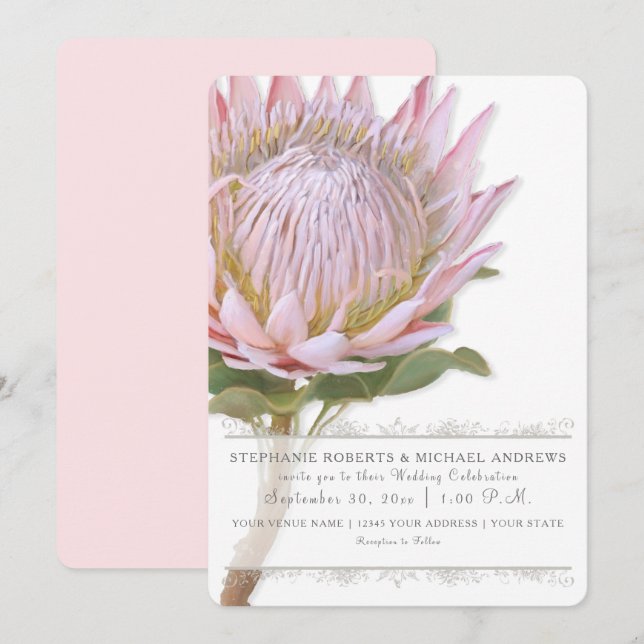 Elegant Simple Modern Floral Pink Protea Flower Invitation (Front/Back)