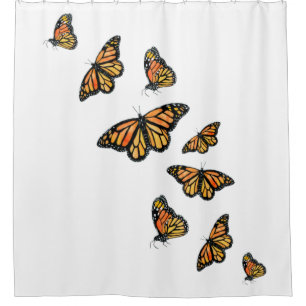 Elegant simple monarch butterfly shower curtain
