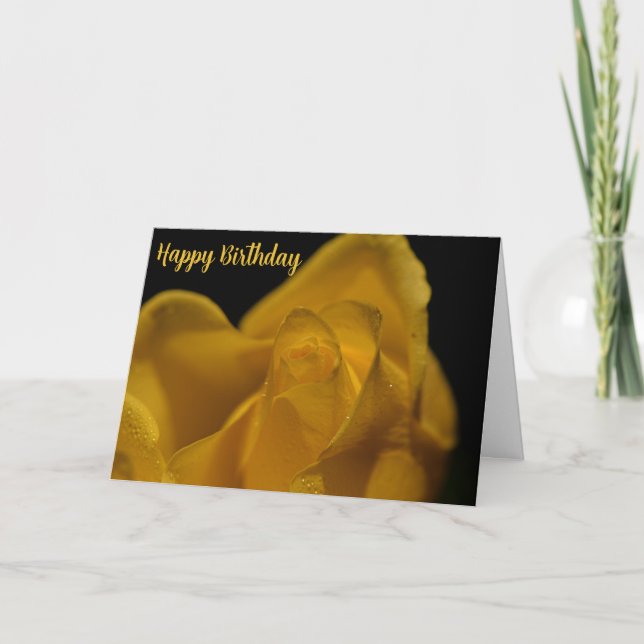 Elegant Single Yellow Rose Close Up Birthday Card (Front)