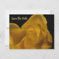 Elegant Single Yellow Rose Close Up Save the Date