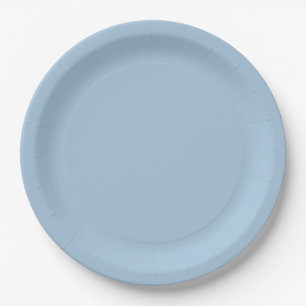 Elegant Sky blue Paper Plate