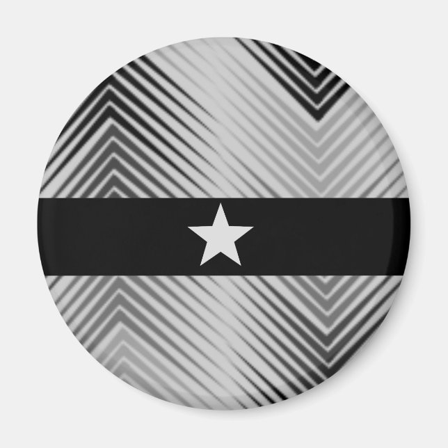 Elegant Sliver Star Magnet (Front)