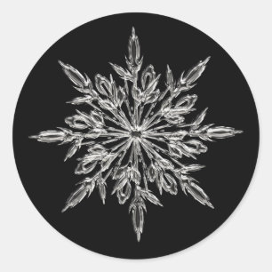 Elegant Snowflake Ice Crystal Xmas Envelope Seal
