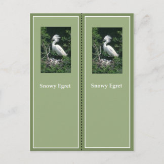 Elegant Snowy Egret Bookmark Postcard
