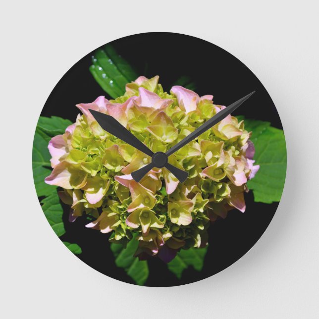 Elegant soft green pink floral hydrangeas round clock (Front)