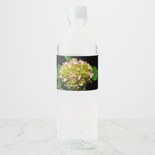 Elegant soft green pink floral hydrangeas water bottle label