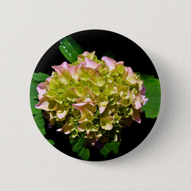 Elegant soft green pink green floral hydrangea 6 cm round badge (Front)