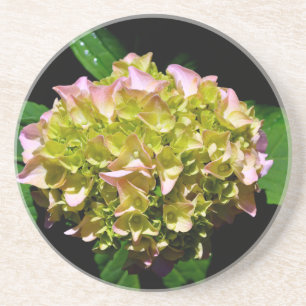 Elegant soft green pink green floral hydrangea coaster