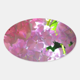 Elegant soft pink florals pink hydrangeas roses oval sticker