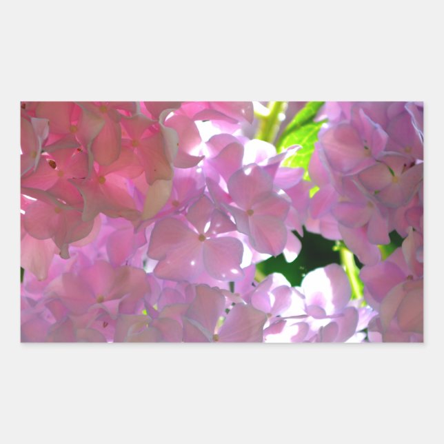 Elegant soft pink florals pink hydrangeas roses rectangular sticker (Front)