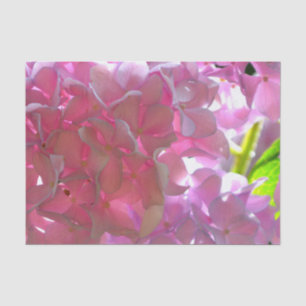 Elegant soft pink florals pink hydrangeas roses tissue paper