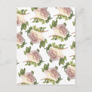 elegant soft pink white rose bud postcard
