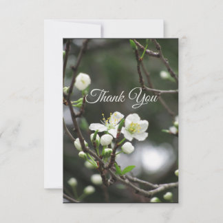 Elegant Spring Blossom Thank You Card