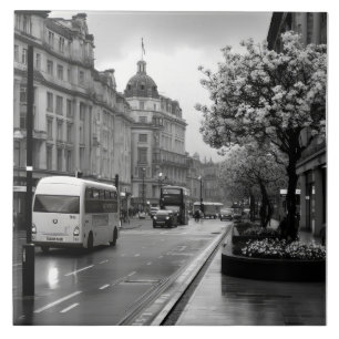 Elegant Street View Tile