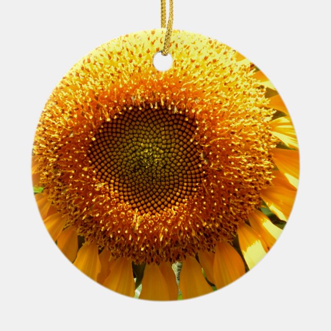 Elegant sunflower photo ceramic tree decoration (Front)