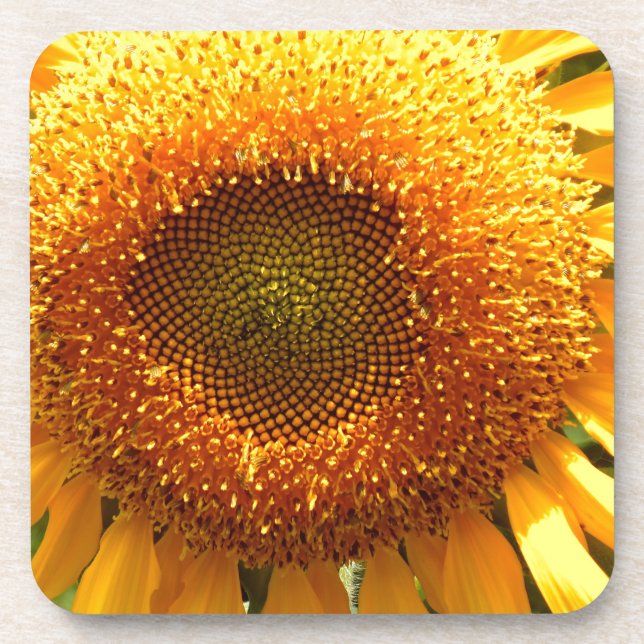 Elegant sunflower photo coaster (Front)