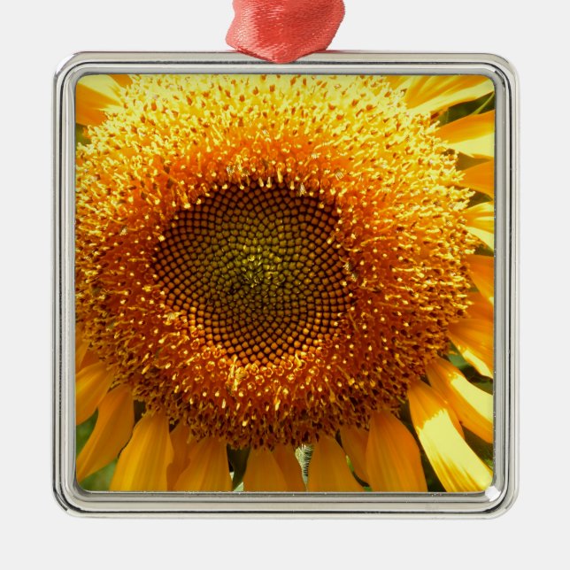 Elegant sunflower photo metal tree decoration (Front)