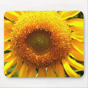 Elegant sunflower photo mouse mat